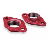 BELL & GOSSETT Flange: 1 1/4 in, 101206, Compatible with OEM Part No. 3NVG5/4JA85/4JA86, Flange