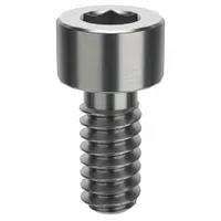 Socket Head Cap Screw: #4-40 Thread Size, 1/4 in Lg, Std, Plain, Stainless Steel, 316 H5 (MPN ZSS61604C04)