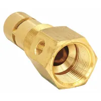 SPEEDAIRE Valve,Check,Intank,w/Venthole: P07538A, RV15A/RV30A