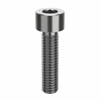 Socket Head Cap Screw: #10-32 Thread Size, 3/4 in Lg, Std, NL-19, Stainless Steel, 18-8, 100 PK (MPN FBFTSCAPS103234P100)