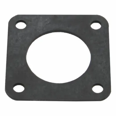 BANJO Replacement Gasket: FKM Gasket (MPN BF200GV). Key specifications — Brand: BANJO. - Gaskets for Bulkhead Fittings