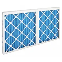 LIEBERT Pleated Air Filter: 195538P1