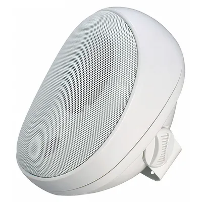 SPECO TECHNOLOGIES Speaker with Transformer: Powered, 2-Way, 8 ohm Impedance - Wall-Mount Speakers