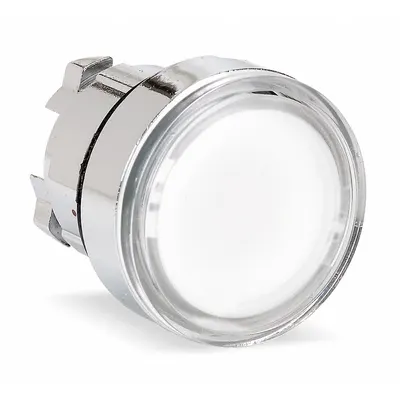 SCHNEIDER Flush Push Button: 22 mm Mounting Size, Metallic - Illuminated Flush-Mount Push-Button Operators