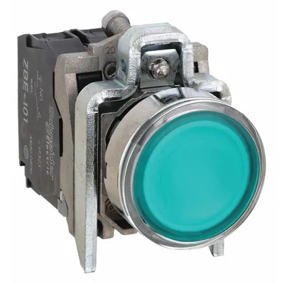 SCHNEIDER Illuminated Push Button: Illuminated, Flush Profile, Metallic, 22 mm - Illuminated Flush-Mount Push Buttons