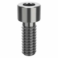 Socket Head Cap Screw: 1/4"-20 Thread Size, 5/8 in Lg, Std, Plain, Stainless Steel, 316 H5 (MPN ZSS61614C10)