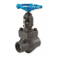 SHARPE Globe Valve: For Steam Media, Carbon Steel, Z-Body, 1 in Pipe Size, Socket x Socket, Female (MPN 4371006230)