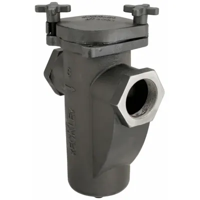 KECKLEY Basket Strainer: Cast Iron, 0.0625 in Screen Size, Single, NPT, 3 in - Cast Iron Basket Strainers