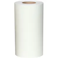 Anti-Slip Tape: Coarse Abrasive, 60 Grit Size, Solid, Clear, 12 in x 60 ft, 21 mil Tape Thick, 3307 (MPN 810JE1)