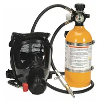 Supplied Air Respirator: Gen Purpose, Hansen, Compressed Air Cylinder, 70 to 90 psi, Full Facepiece (MPN 10108496)