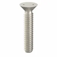 Tamper Resistant Screw: #10-24 Thread Size, 1 in Lg, Stainless Steel, Plain, Flat, Spanner, 25 PK (MPN 121895)