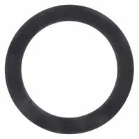 ZURN Gasket: Rubber, Black, Gasket (MPN 63253001)