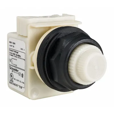 SCHNEIDER Pilot Light: 30 mm Panel Mounting Size, White, Incandescent - Incandescent Pilot-Lights