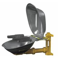 Wall-mount eyewash station with eyes and face coverage. Features a covered stainless steel bowl and push plate activation. Suitable for emergency flushing in industrial and laboratory settings.