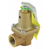 WATTS Pressure Relief Valve: NPTF x NPTF, 3/4 in x 3/4 in, Bronze, 125 psi Max. Op Pressure (MPN 0369010)