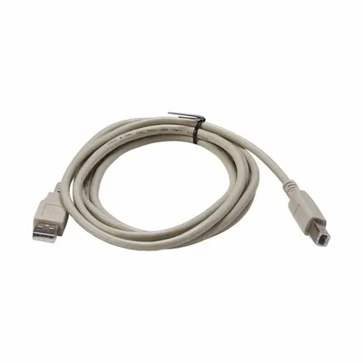 BRADY M-USB-103788 USB Printer Cable, Gray, 6 ft - Printer Cables