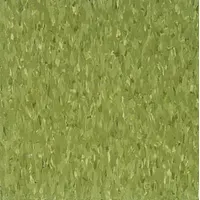ARMSTRONG FLOORING Vinyl Floor Tiles: Little Green Apple, Std Excelon Imperial Texture, Smooth (MPN 51866031)