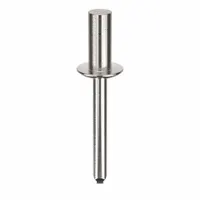 Blind Rivet,1 17/18" L,0.249" dia,PK100: Inch, 1 15/16 in Overall Lg, 39/64 in Body Lg, Dome, 100 PK (MPN AD86H203)