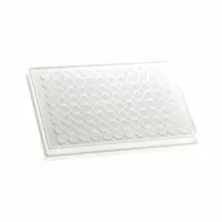 MTC BIO Well Plate: Non-Sterile, 96 Wells, 0.34 mL, 6.9 mm Dia, RNase/DNase Free, Round, Polystyrene (MPN DP35F-96-W)