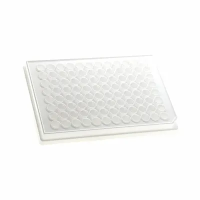 MTC BIO Well Plate: Non-Sterile, 96 Wells, 0.34 mL, 6.9 mm Dia, RNase/DNase Free - Assay Plates