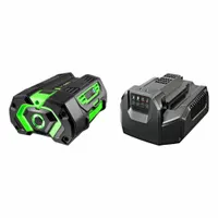 Battery and Charger: 5 Ah Battery Capacity, 56V ARC Lithium™, Tabbed, 1 Batteries Included, 56V DC (MPN SKA2800T)