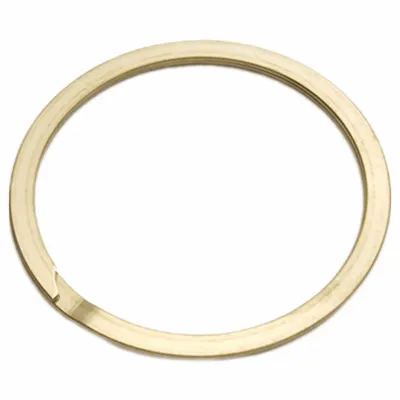 ROTOR CLIP Retaining Ring: Inch, External, Medium-Duty, 0.037 in Thick, Fits 1 in Shaft Dia - Spiral Rings