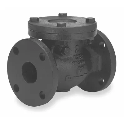 MILWAUKEE VALVE Swing Check Valve: Swing, Inline Valve Body, 2 in Pipe Size, Flange x Flange - Cast Iron Inline Swing Check Valves