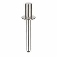 Blind Rivet,1 9/11" L,0.249" dia,PK100: Inch, 1 13/16 in Overall Lg, 31/64 in Body Lg, Dome, 100 PK (MPN AD84H203)
