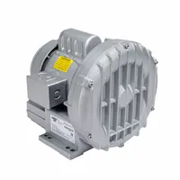 GAST Regenerative Blower: 0.5 hp, 43 in wc Max Op Pressure, 40 in wc Max Vacuum, 2.0-2.0/1.0 A (MPN R3305A-1)