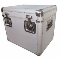 WESTWARD Protective Case: 32.1 gal, 18 in x 24 in x 20 1/2 in, Gray, Aluminum, 2 Handles, Steel (MPN 29PH27)