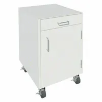 Mobile Cabinet: 27 1/8 in Overall Ht, 22 in Overall Dp, 24 in Overall Wd, Steel, 1 Drawers, 1 Doors (MPN GRJTP1068-24-2)