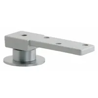 Brass center-hung pivot hinge with 1 5/8 in leaf height and 1 1/4 in leaf width. Used for concealed pivot points in commercial and industrial door applications, supporting door alignment and smooth rotation