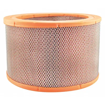 BALDWIN FILTERS PA5665 Round/Oval Engine Air Filter - Round/Oval Engine Air Filters