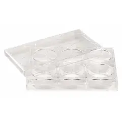 This 12-well cell culture plate is made of colorless polystyrene and is tissue culture treated for adherent cell growth. Each well has a 4 mL capacity. The plate is RNase/DNase free and suitable for cell culture assays and sample storage.