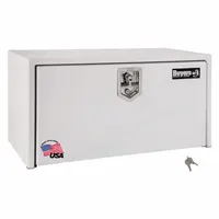 BUYERS PRODUCTS Underbody Truck Box: Underbody Truck Box, Single Drop-Down Door Door, White, Steel (MPN 1703405)