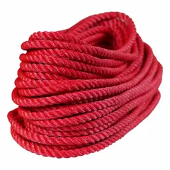 Static twisted polyester rope for rigging and climbing. 5/8 in diameter, red, with a working load limit of 1,870 lb. Used in industrial work positioning, fall protection, and load securing.