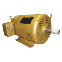BALDOR General Purpose Motor: Rigid Base Mount, Open Drip Proof, 20 hp, 230V AC/460V AC, 1,725 RPM (MPN EM2515T)