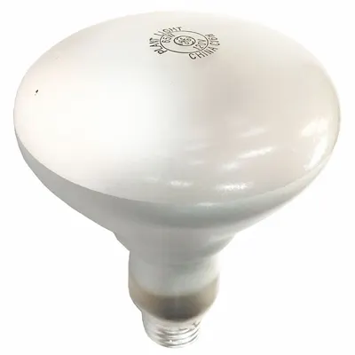 CRETORS 2403-TC Heat Lamp (EN6A1X-X, 31EV88) - Replacement Parts for Popcorn Makers