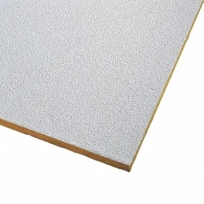 ARMSTRONG Ceiling Tile: 2989, Pebble, 24 in x 48 in, Square Lay-In, 15/16 in Grid Size - General Purpose Tiles
