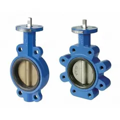 This ductile iron butterfly valve features a lug-style connection for water media, allowing isolation at the valve for dead-end service. The disc is made of 316 stainless steel. Rated for 250 psi CWP, it is suited for on-off or throttling control in industrial piping systems.