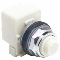 SCHNEIDER ELECTRIC Pilot Light: 30 mm Panel Mounting Size, White, LED, 9001K Series (MPN 9001KP38LWW31)