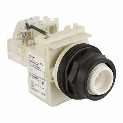 SCHNEIDER Pilot Light: 30 mm Panel Mounting Size, No Lens Included - Incandescent Pilot-Lights without Lenses