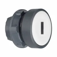 SCHNEIDER Flush Push Button: 22 mm Mounting Size, Non-Metallic, Momentary (MPN ZB5AA131)