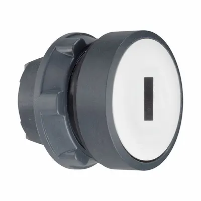 SCHNEIDER Flush Push Button: 22 mm Mounting Size, Non-Metallic - Flush-Mount & Recessed Push-Button Operators