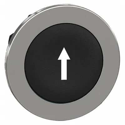 SCHNEIDER Push Button Head: 30 mm Panel Size, Non-Illuminated, Metallic, Down Arrow - Heads for Push Buttons