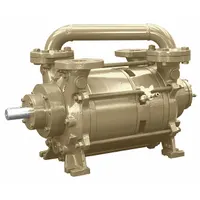 Liquid Ring Vacuum Pump: Monoblock, 2 Stage, 100 cfm, 29 in Hg Max Vacuum, 15 hp (MPN DV0201D-DB4)
