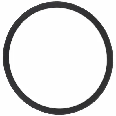 BELL & GOSSETT Gasket Set: Mfr Part # 118129 - Seal Kits