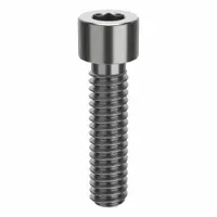 Socket Head Cap Screw: 1/4"-20 Thread Size, 1 in Lg, Std, Plain, Stainless Steel, 316 H5 (MPN ZSS61614C16)