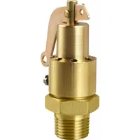 AQUATROL Safety Relief Valve: MNPT x Vented, 1/4 in x 1/4 in, 214 psi Max. Op Pressure, Brass (MPN 130AA1M1K1-50)