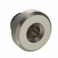 LEGRIS Plug: Hex Drive Cored Plug, 5 mm, Metric Threaded, Nickel-Plated Brass, 870 psi, 1/4 in Lg (MPN 0919 00 19)